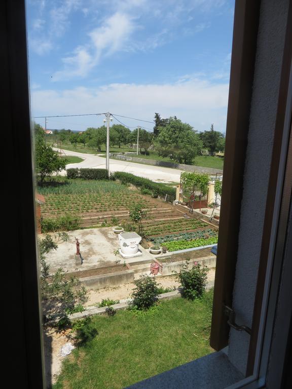 Filipovic With Pool